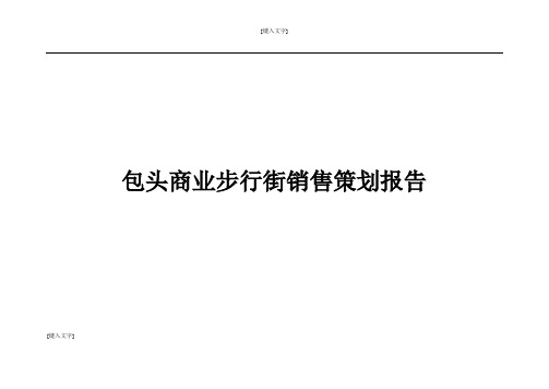 包头市商业步行街销售策划报告