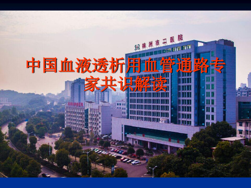 中国血液透析用血精品PPT课件