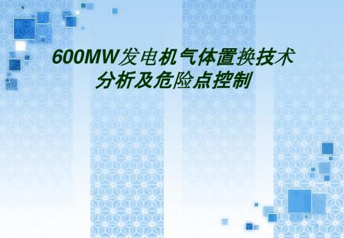 600MW发电机气体置换技术