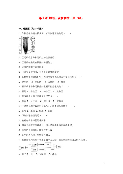 八年级生物上册 第1章 绿色开花植物的一生单元试卷(09)(含解析)(新版)济南版