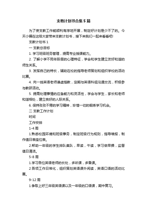 支教计划书合集5篇