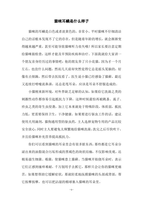 猫咪耳螨是什么样子