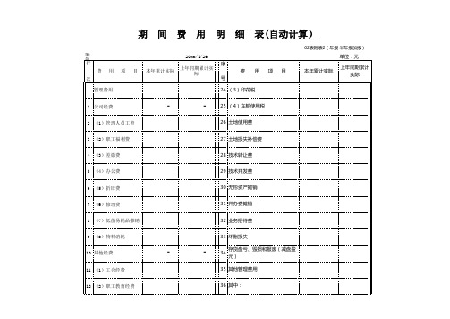 公司期间费用明细表模板