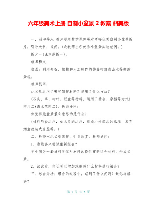六年级美术上册 自制小盆景 2教案 湘美版