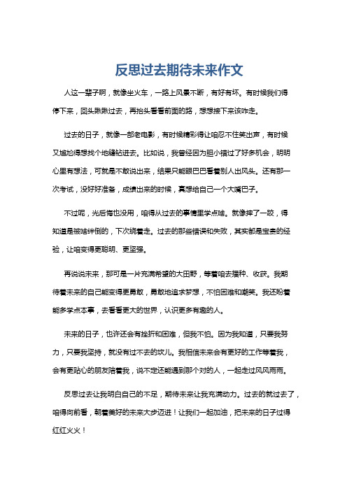 反思过去期待未来作文