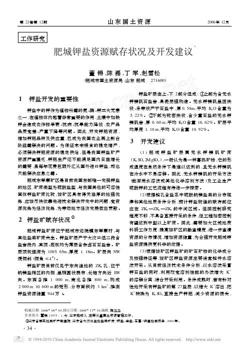 肥城钾盐资源赋存状况及开发建议