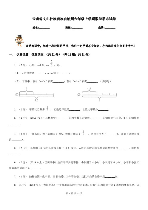 云南省文山壮族苗族自治州六年级上学期数学期末试卷