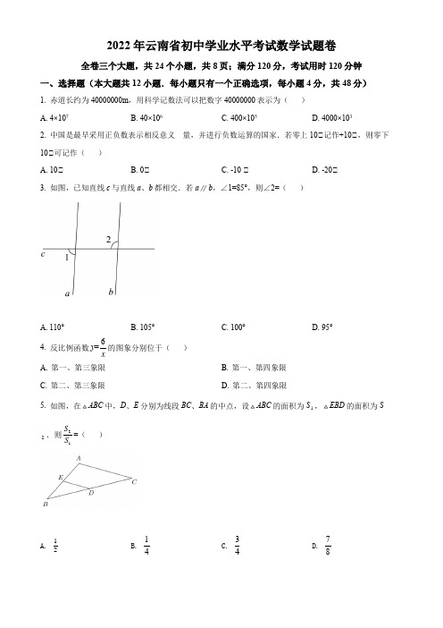 2022年云南省中考数学真题(含详细解析)