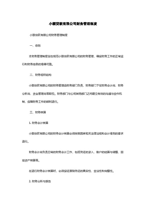 小额贷款有限公司财务管理制度