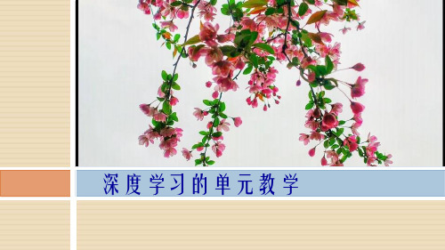 深度学习的单元教学 (共51张PPT)