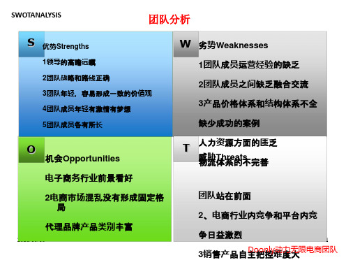 SWOT分析团队