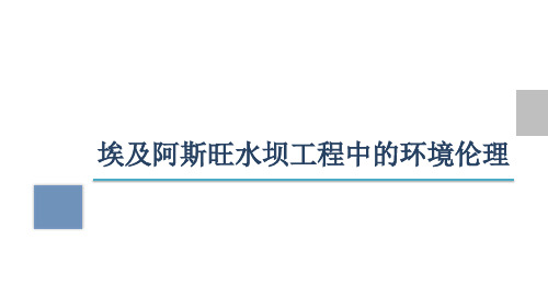 埃及阿斯旺水坝工程中的环境伦理