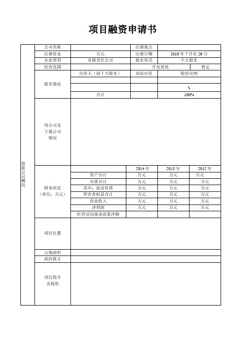 融资计划表样板(按照这个填写)