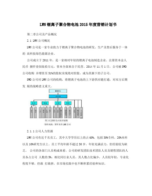 LWN锂离子聚合物电池2015年度营销计划书