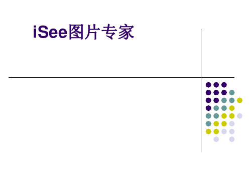 iSee图片专家