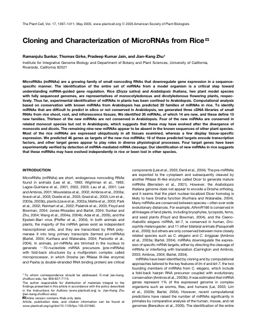 cloning and characterization of microRNAs from Rice