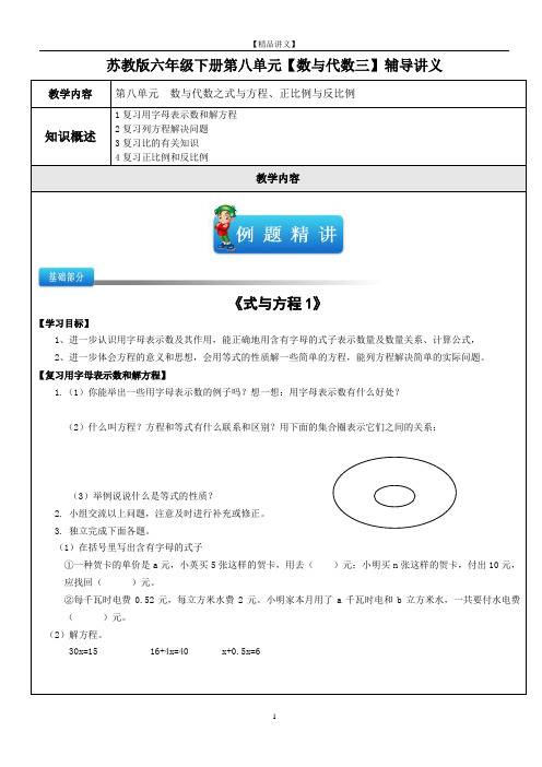 苏教版六年级数学(下)第八单元【数与代数三】讲义及试题