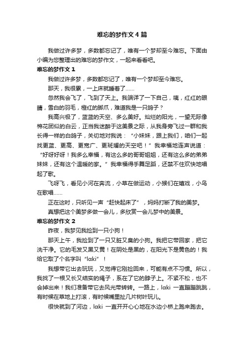 难忘的梦作文4篇