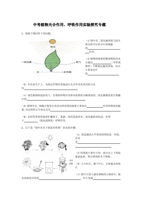 中考植物光合作用、呼吸作用实验探究专题