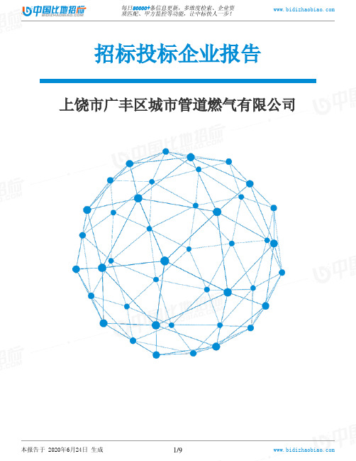 上饶市广丰区城市管道燃气有限公司-招投标数据分析报告