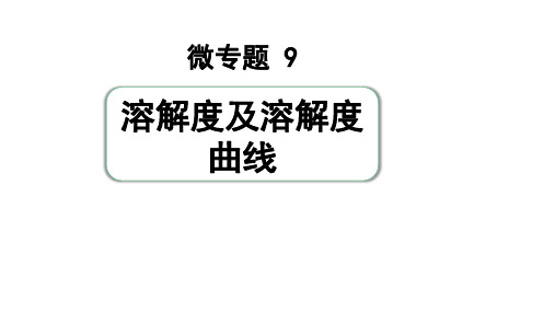 09  溶解度及溶解度曲线