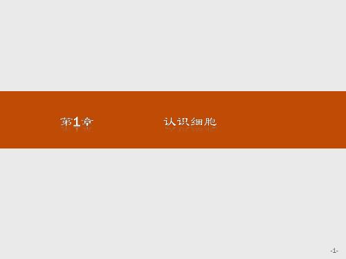 2019-2020生物同步导学练北师大版必修一课件：第1章 认识细胞1 