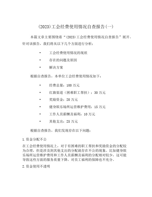 (2023)工会经费使用情况自查报告(一)