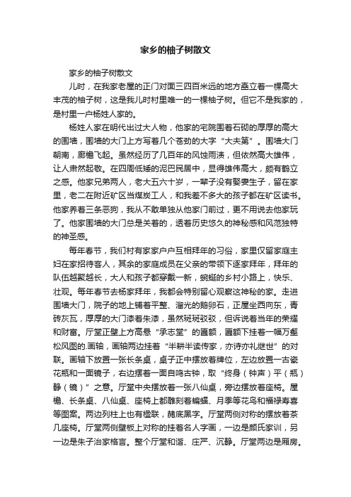 家乡的柚子树散文