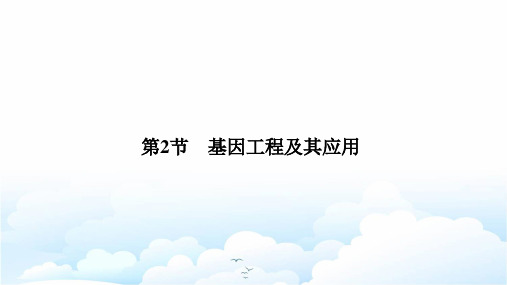 高中生物必修二优质课件：6.2 基因工程及其应用