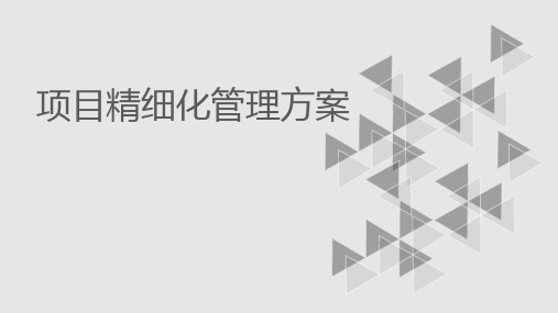 工程项目精细化管理方案