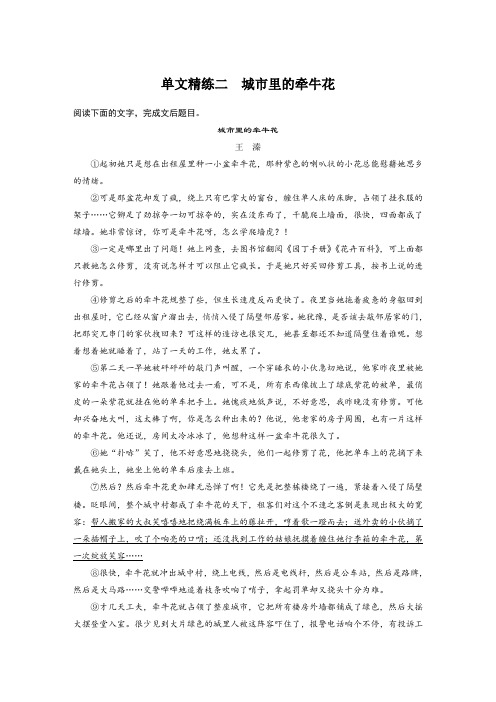 2020全国高考语文加练半小时：第二章 文学类文本阅读 专题一 单文精练二