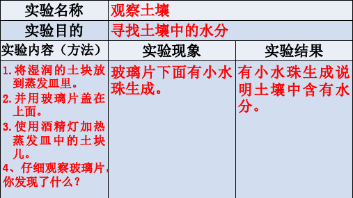 新冀人版科学(2017)四年级下册实验报告