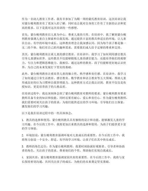 蒙氏学习培训感想