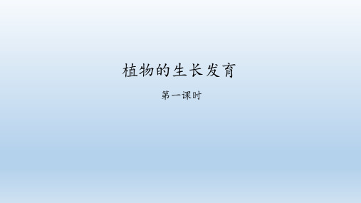 苏科版八年级生物上册：19.2 植物的生长发育  课件(共45张PPT)