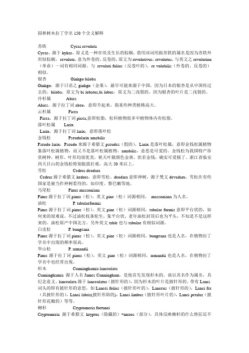 园林树木拉丁学名150个和含义解释