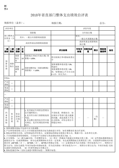 整体支出绩效自评表终