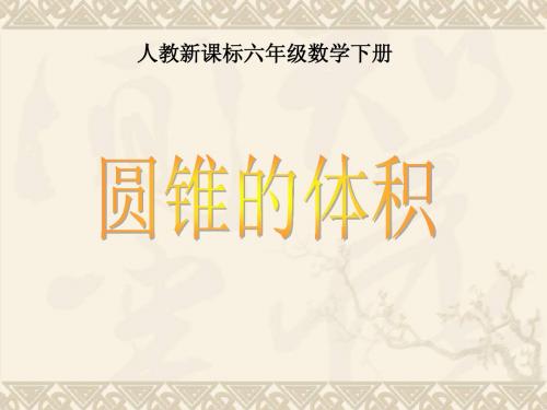 六年级数学下册 圆锥的体积2课件 人教新课标版