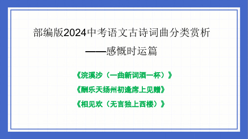 古诗词曲分类赏析 感慨时运篇  课件-2024中考语文二轮专题复习