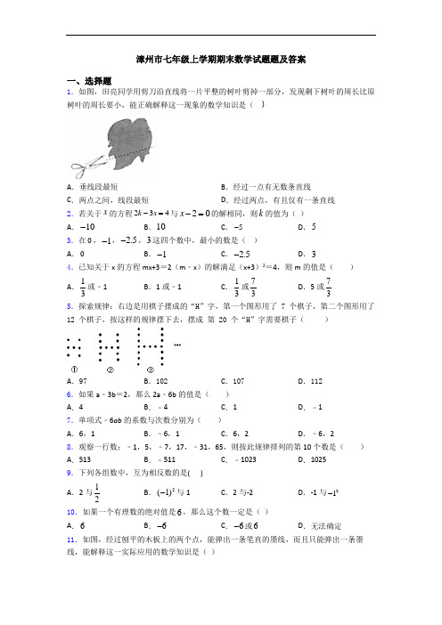 漳州市七年级上学期期末数学试题题及答案