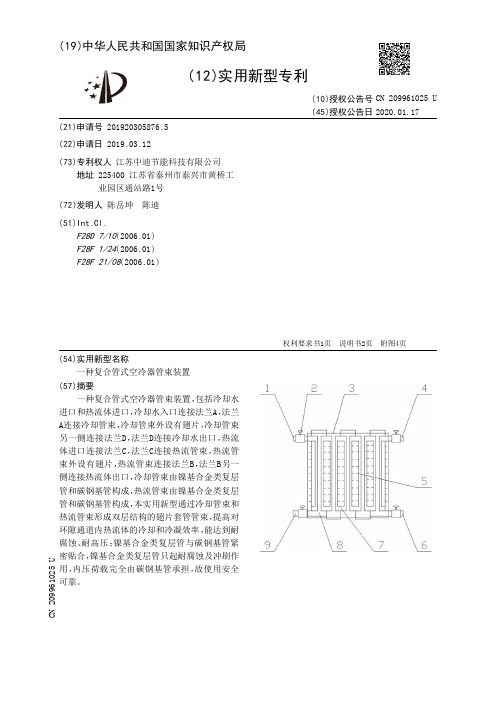 【CN209961025U】一种复合管式空冷器管束装置【专利】