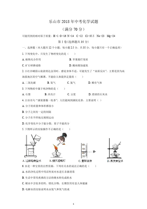 乐山市2018年中考化学试题及答案