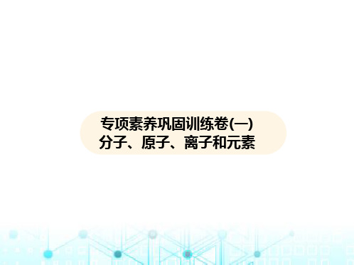 沪教版初中九年级化学上册专项素养巩固训练卷(一)分子、原子、离子和元素课件