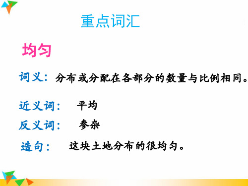 四年级语文上册第四单元17爬山虎的脚重点词汇拓展知识课件冀教版