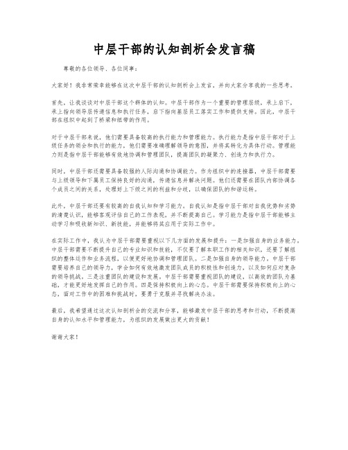 中层干部的认知剖析会发言稿