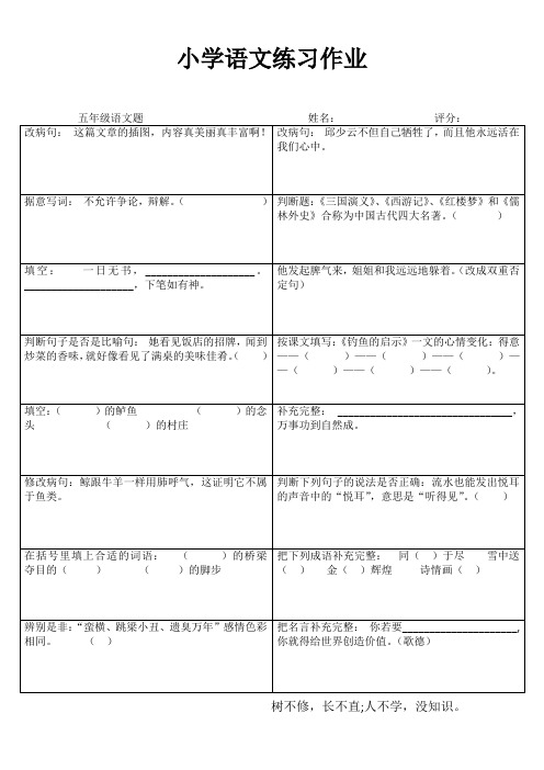 小学语文课堂自评练习I (5)