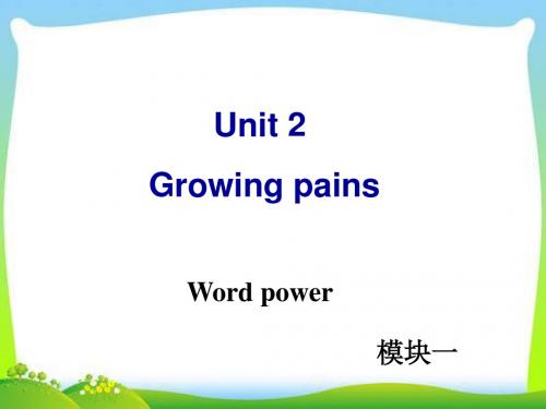 牛津译林版高中英语Module 1 Unit 2 Word power教学课件