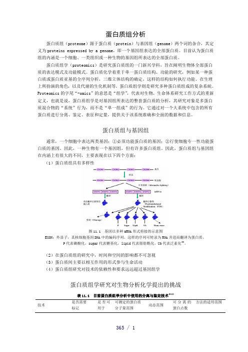 蛋白质组分析word版