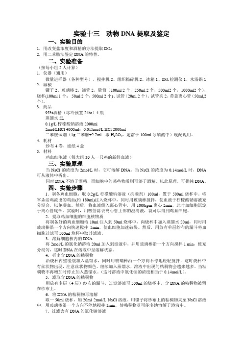 实验十三  动物DNA提取及鉴定