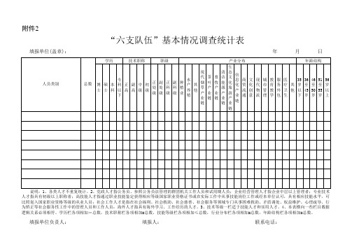 “六支队伍”基本情况统计表 (1)