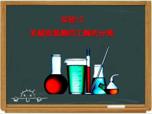 浙科版生物选修一《生物技术实践 》《乳酸脱氢酶同工酶的分离》讲授课件-新版